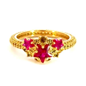 Crown Bearer Stars Ring